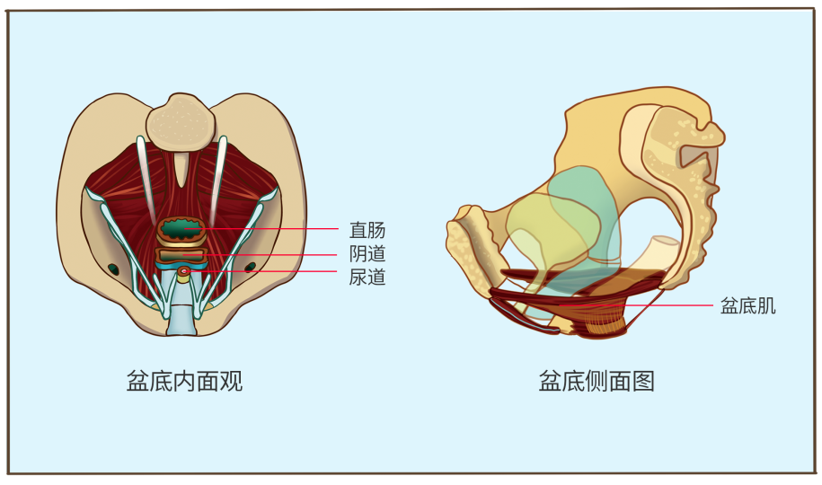 图源网络 图源网络
